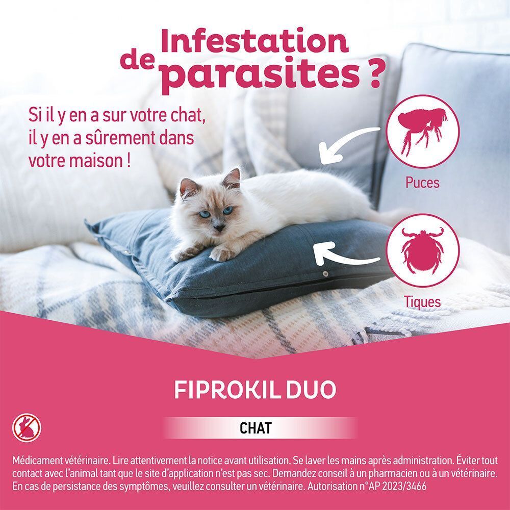 Chat sur un coussin avec icônes de puces et tiques. Texte sur l'infestation parasitaire chez le chat et à la maison.