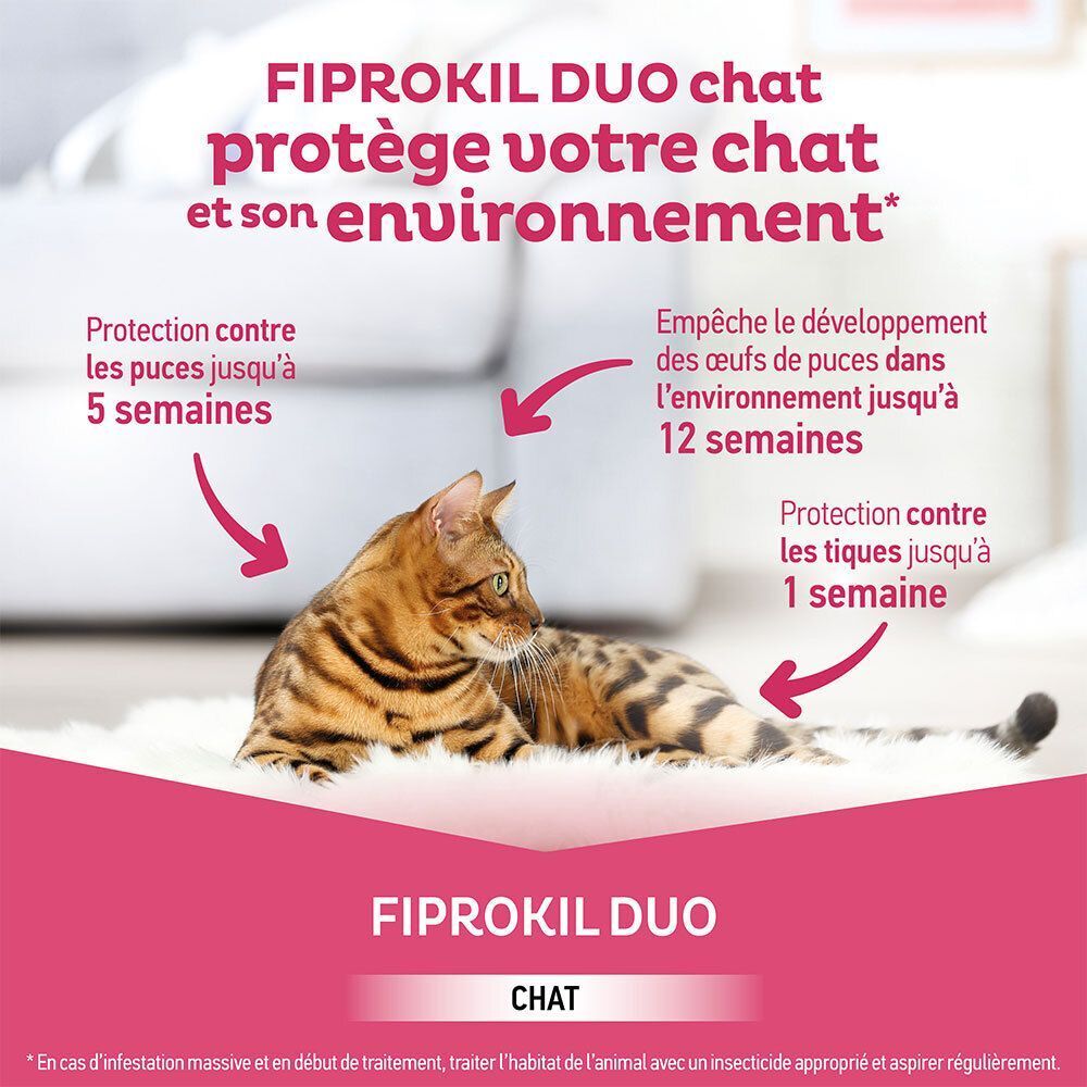 Un chat Bengal avec des flèches indiquant la protection contre les puces (5 semaines) et les tiques (1 semaine).