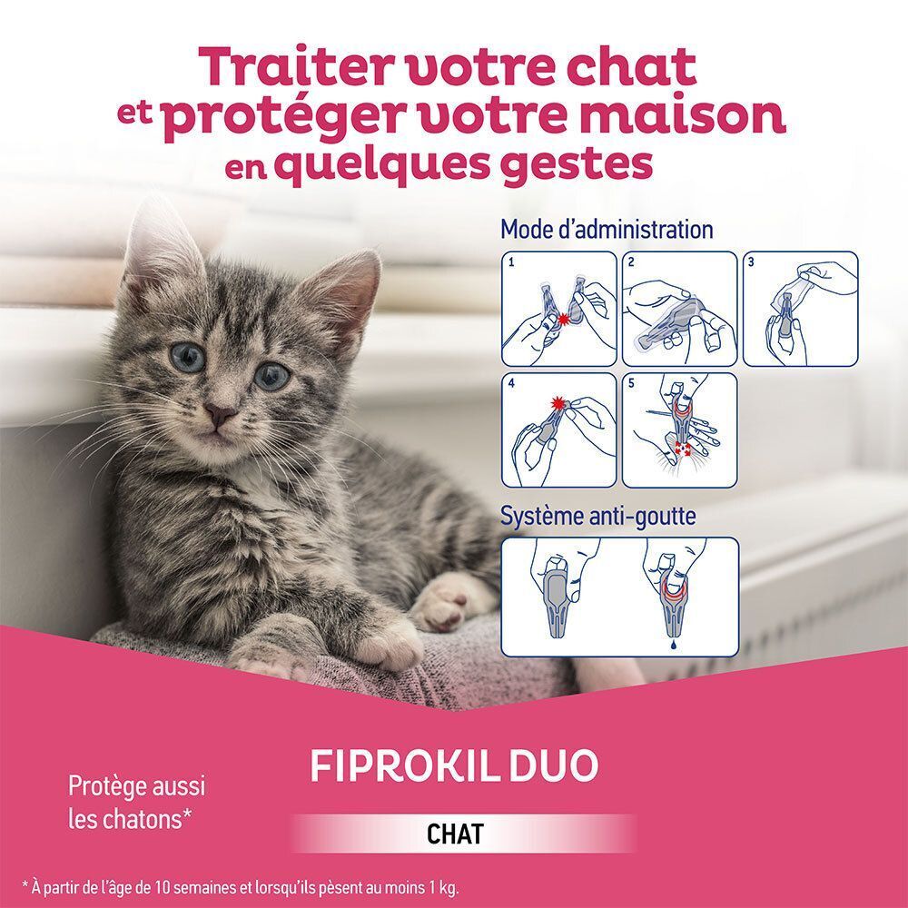 Un chaton et des instructions pour l'application de Fiprokil Duo spot-on pour chats.