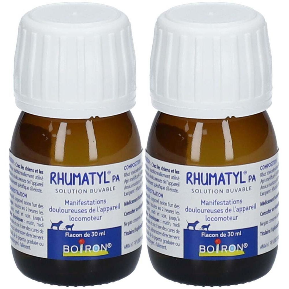 Deux flacons en verre brun avec bouchons blancs. Inscription RHUMATYL PA, solution buvable, pour chiens. Marque BOIRON.