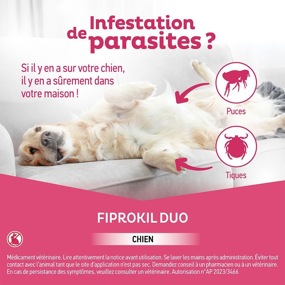 Un chien sur un canapé, avec des icônes de puces et de tiques. Nom du produit Fiprokil Duo Chien.