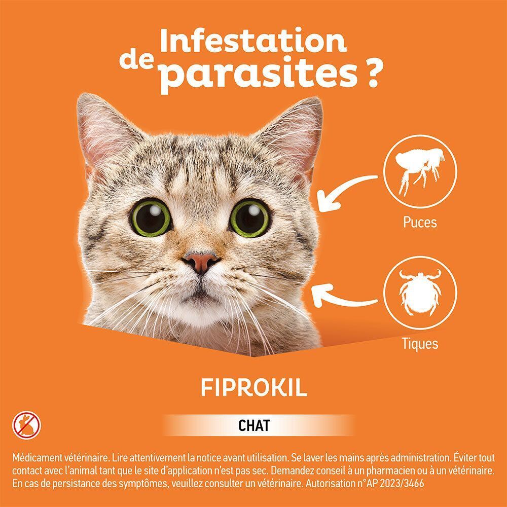 Tête de chat avec icônes puces et tiques. Fiprokil pour chats.