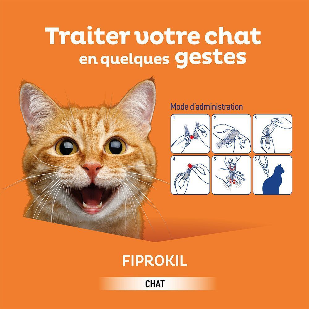 Chat avec instructions d'application Fiprokil Spot-on.