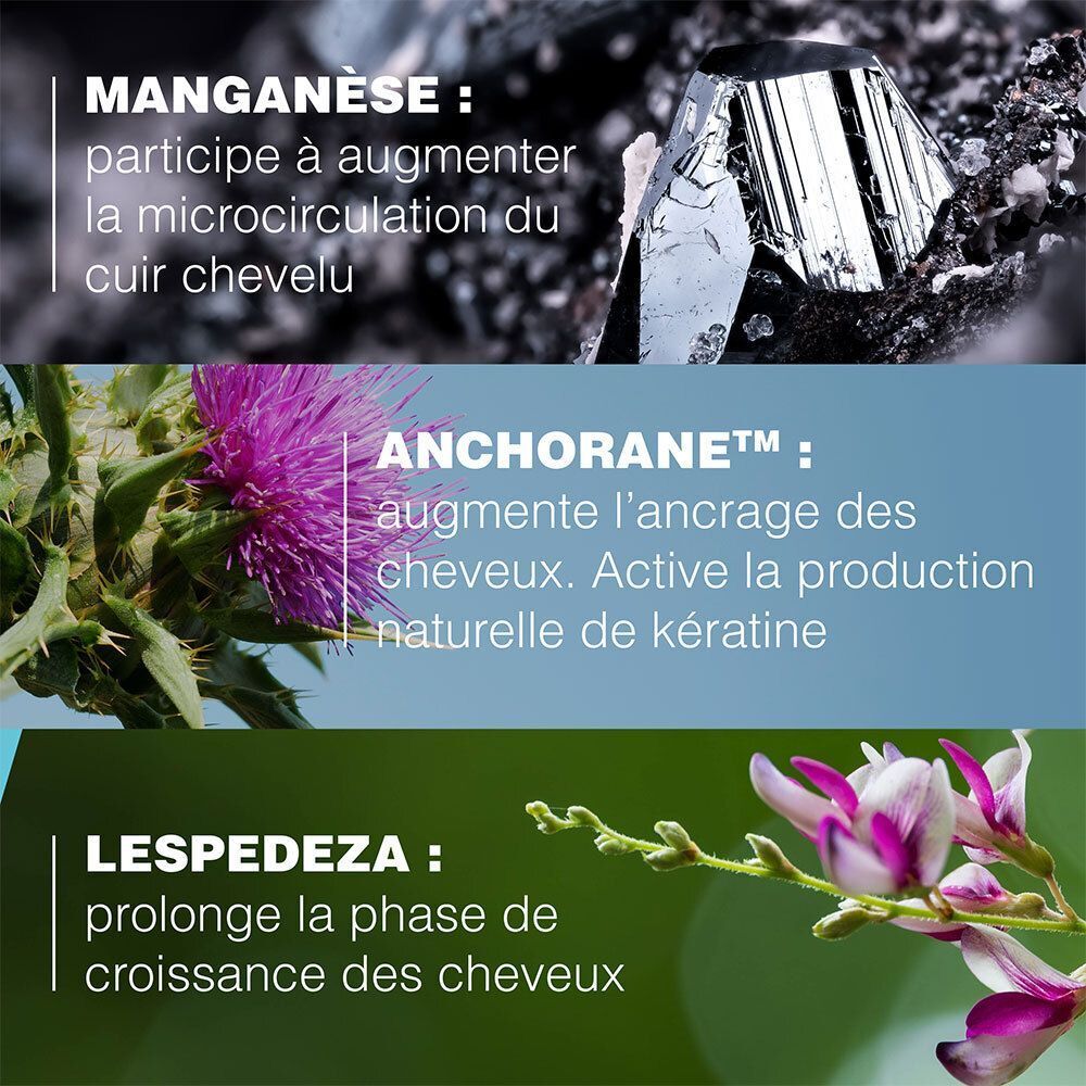 Extraits de texte avec images. Texte: Manganèse, Anchorane, Lespedeza.