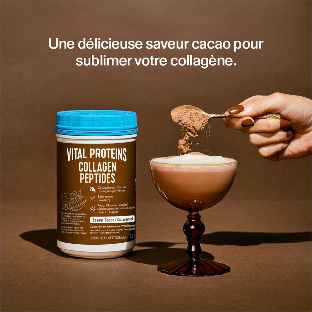 Vital Proteins Collagen Peptides Saveur Cacao