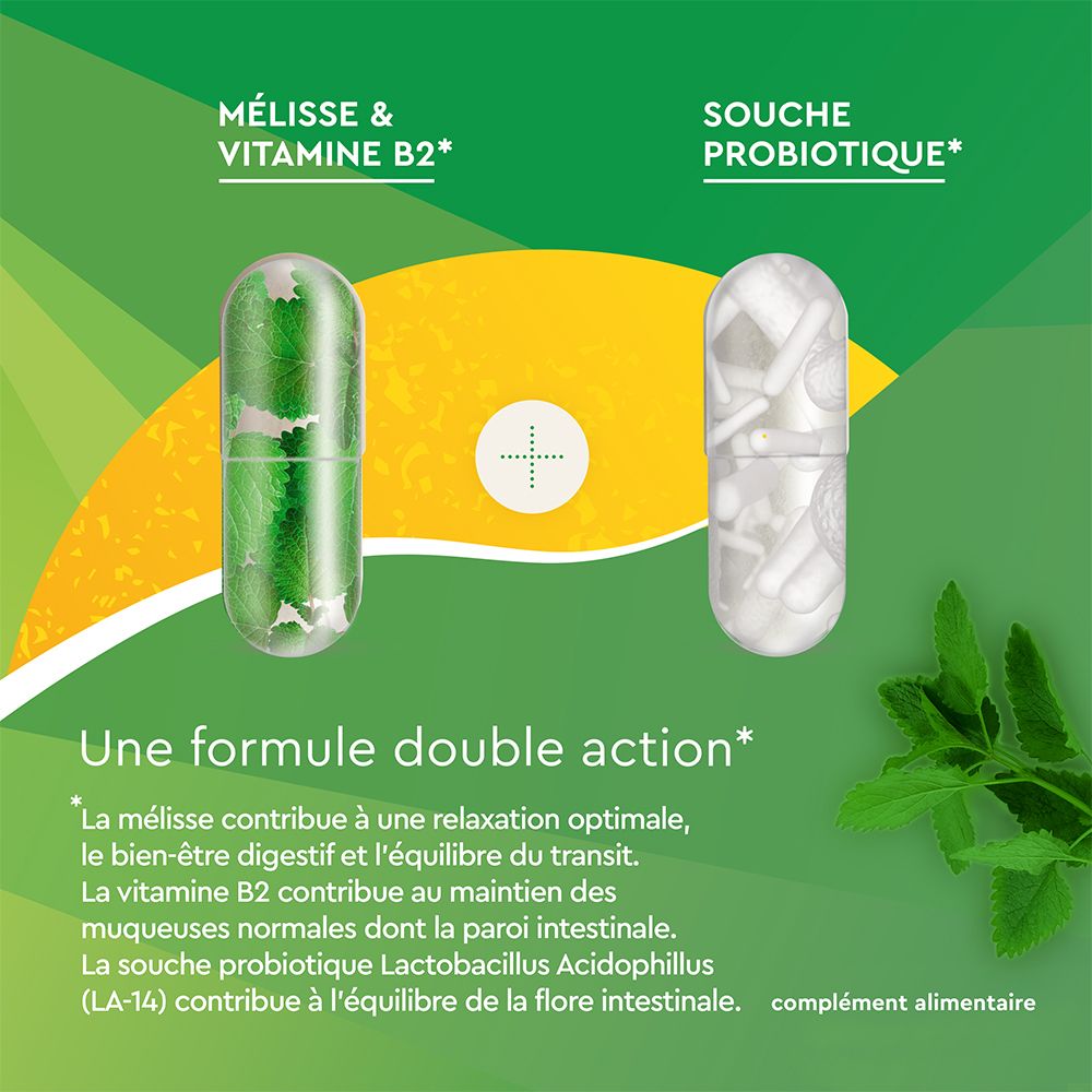 EuphytoseStress® Digestion - Stress et confort intestinal - Probiotiques, mélisse, vitamine B2