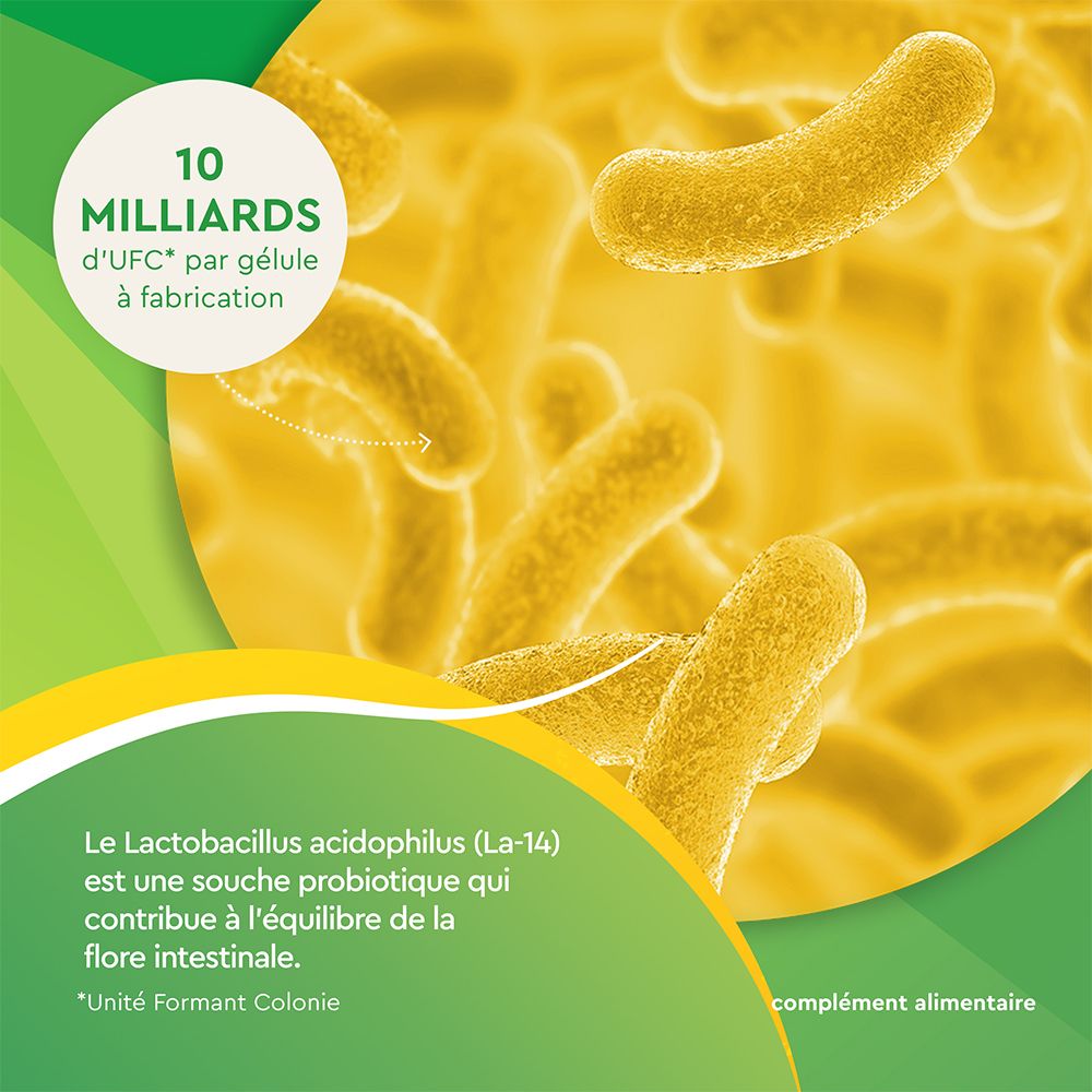 EuphytoseStress® Digestion - Stress et confort intestinal - Probiotiques, mélisse, vitamine B2