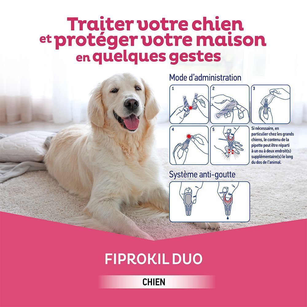 Un chien sur un tapis. À côté, des instructions d'application et une pipette sont illustrées.