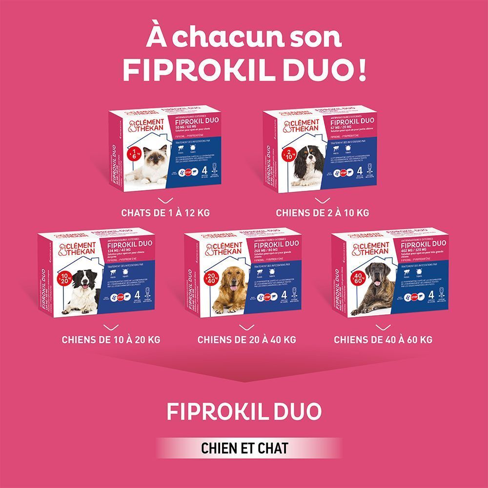 Plusieurs emballages de Clément Thékan Fiprokil Duo pour différentes tailles d'animaux, chiens et chats.