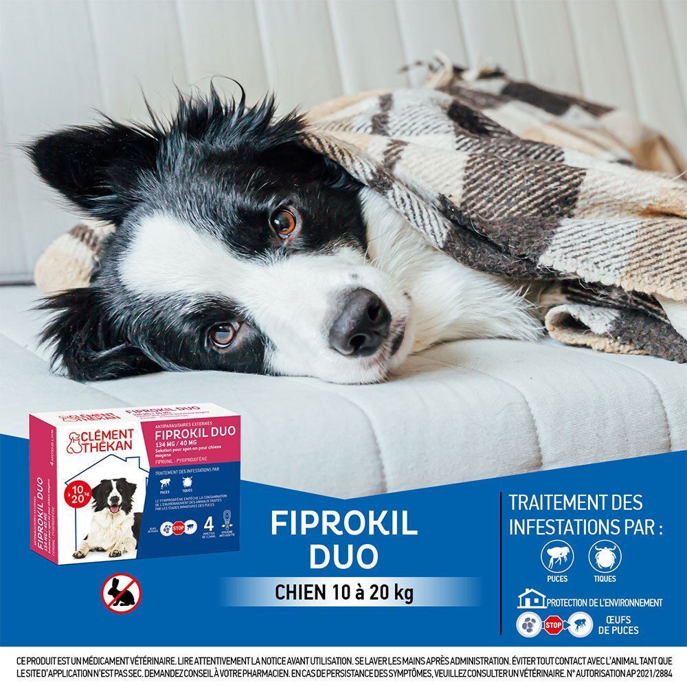 Un chien couché sous une couverture. L'emballage Clément Thékan Fiprokil Duo pour chiens 10-20kg est visible.