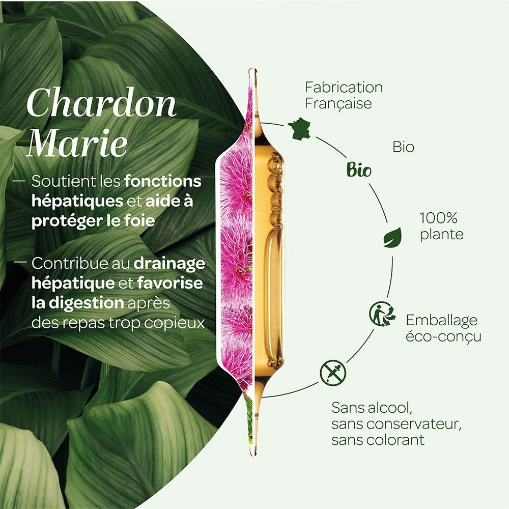 Ampoule SUPER DIET Chardon Marie Bio avec fleur de chardon, entourée de feuilles et de labels qualité.