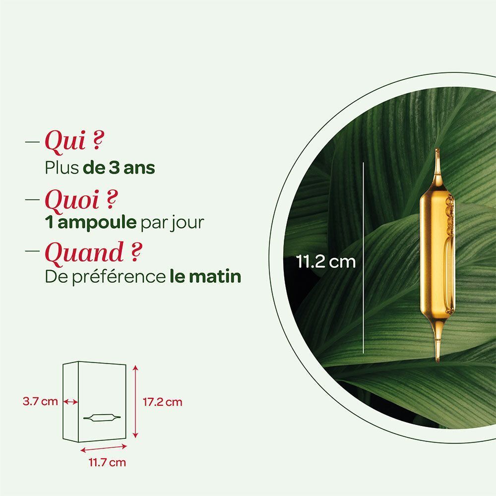 SUPERDIET Myrtille Bio Ampoule : illustration d'une ampoule (11,2 cm) et dimensions de l'emballage.
