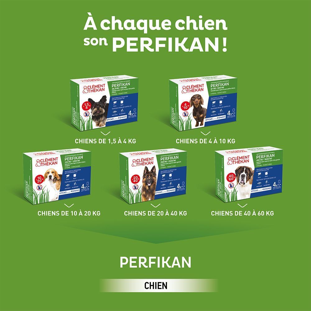 Différentes tailles de boîtes de Clement Thekan Anti-Puces Anti-Tiques pour chiens.