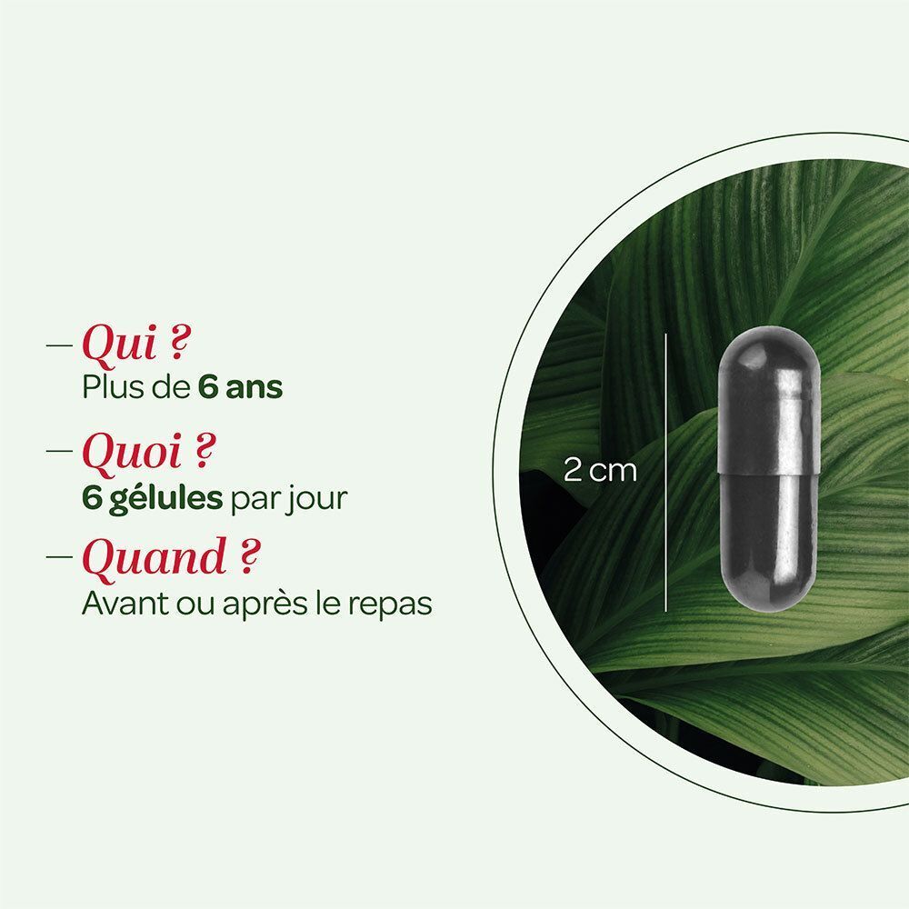 Une gélule noire de 2 cm de long, avec des feuilles vertes en arrière-plan.