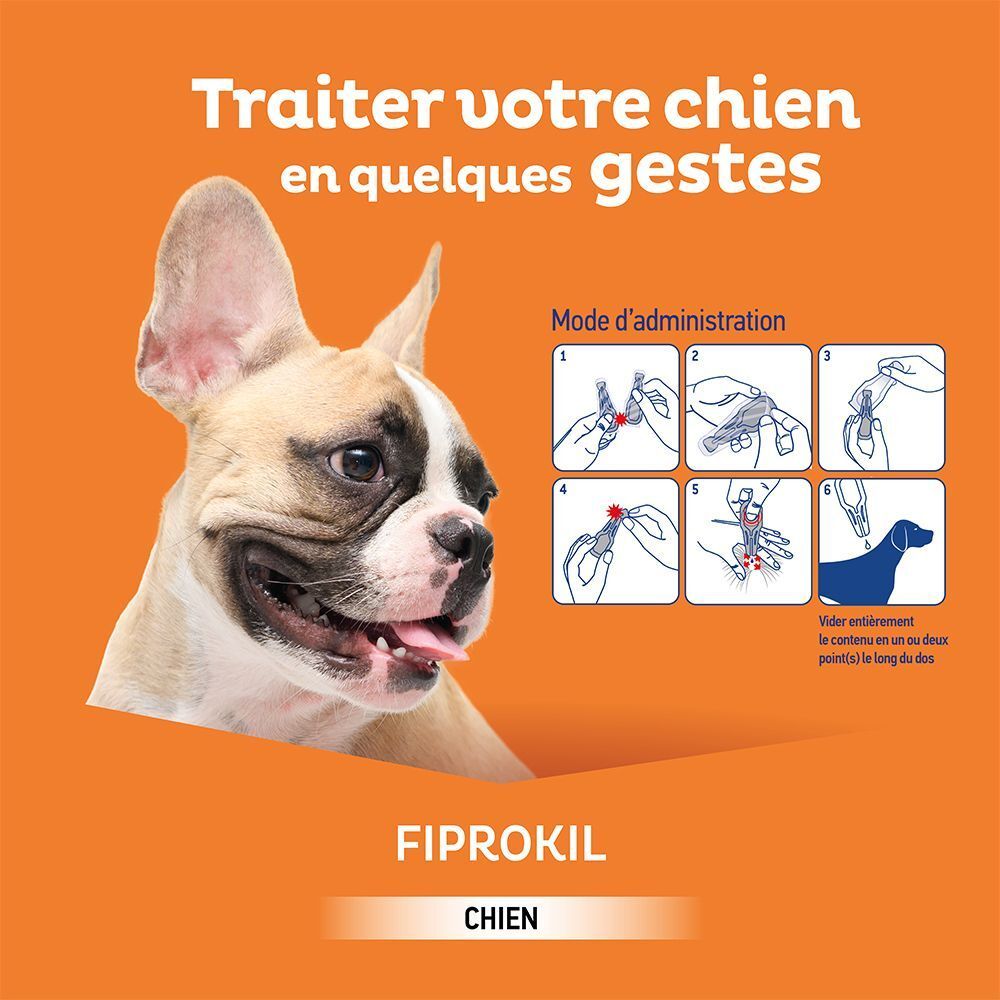 Application de Fiprokil Spot-on pour chiens : instructions étape par étape.