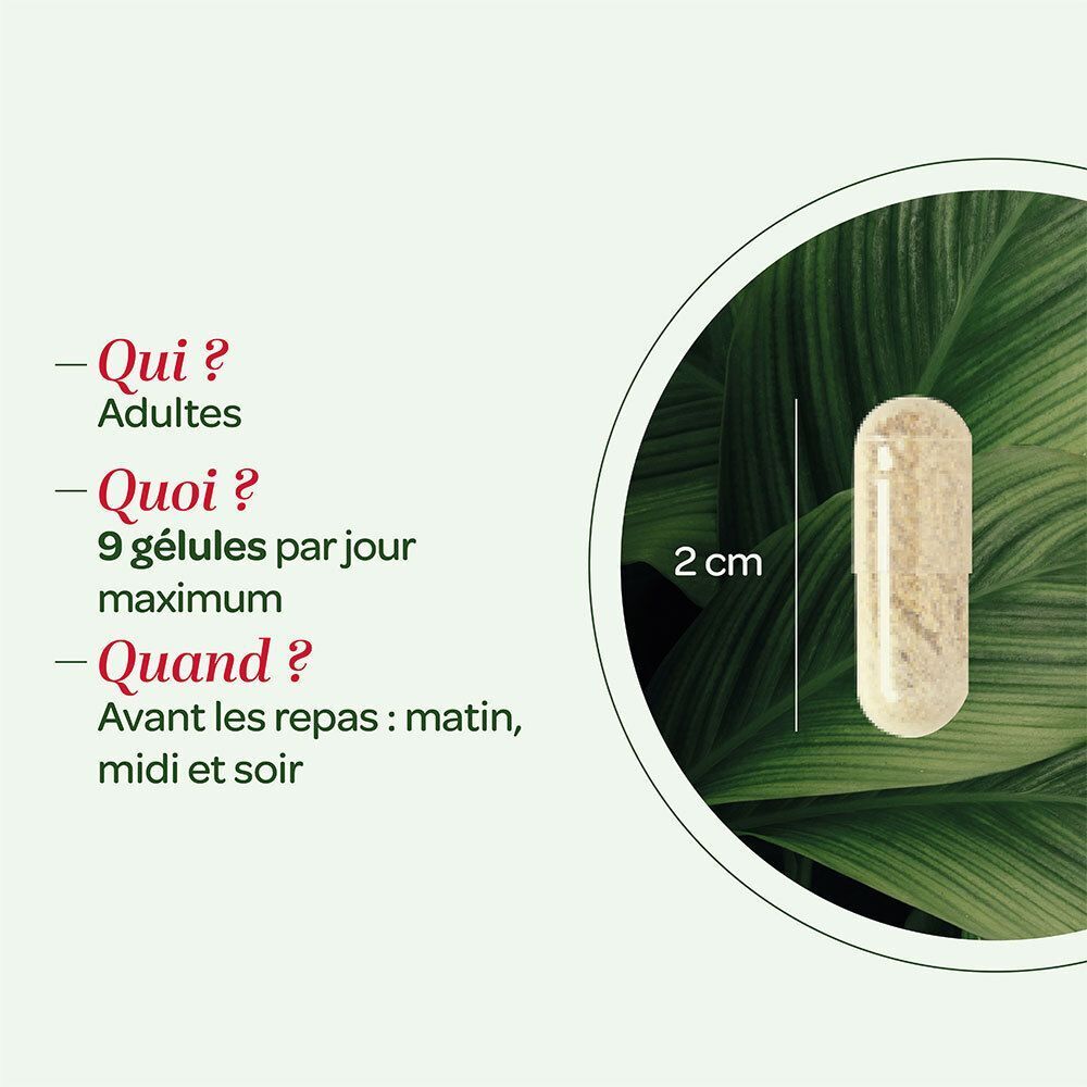 Une gélule SUPERDIET Chardon Marie Bio, 2 cm de long, à côté d'un texte sur les recommandations de prise.