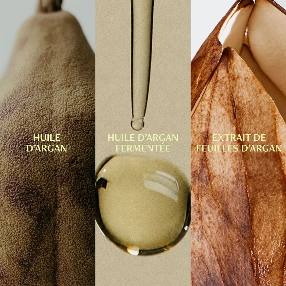 Trois segments verticaux en collage : fruit d'argan, huile d'argan fermentée dans une pipette, feuille d'argan.