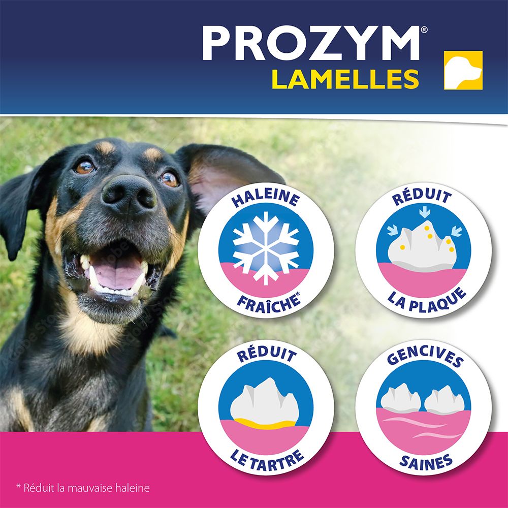 Chien avec cercles: Haleine fraîche, réduit la plaque, réduit le tartre, gencives saines. Prozym Lamelles.