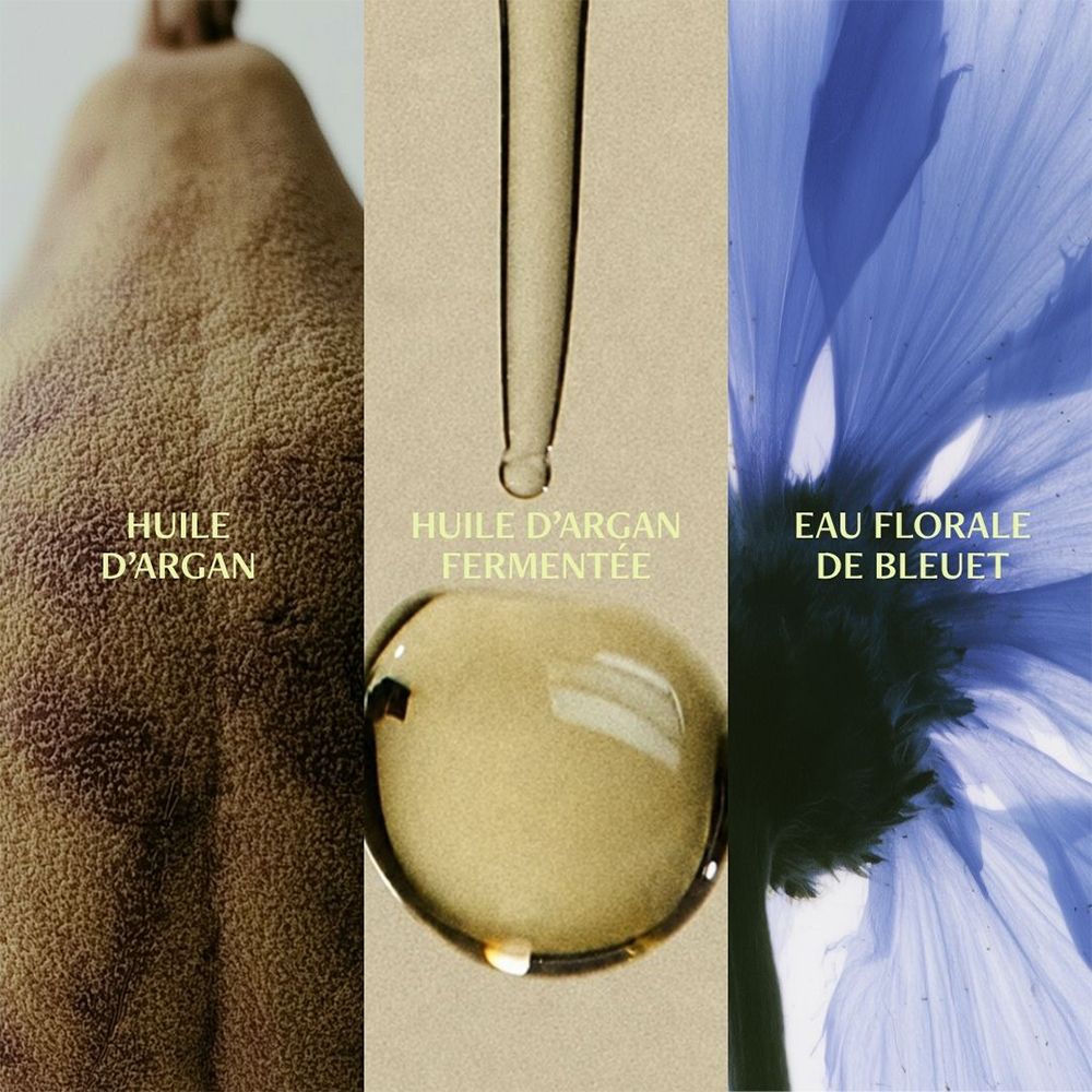 Collage d'une noix d'argan, de gouttes d'huile d'argan et d'une fleur de bleuet.