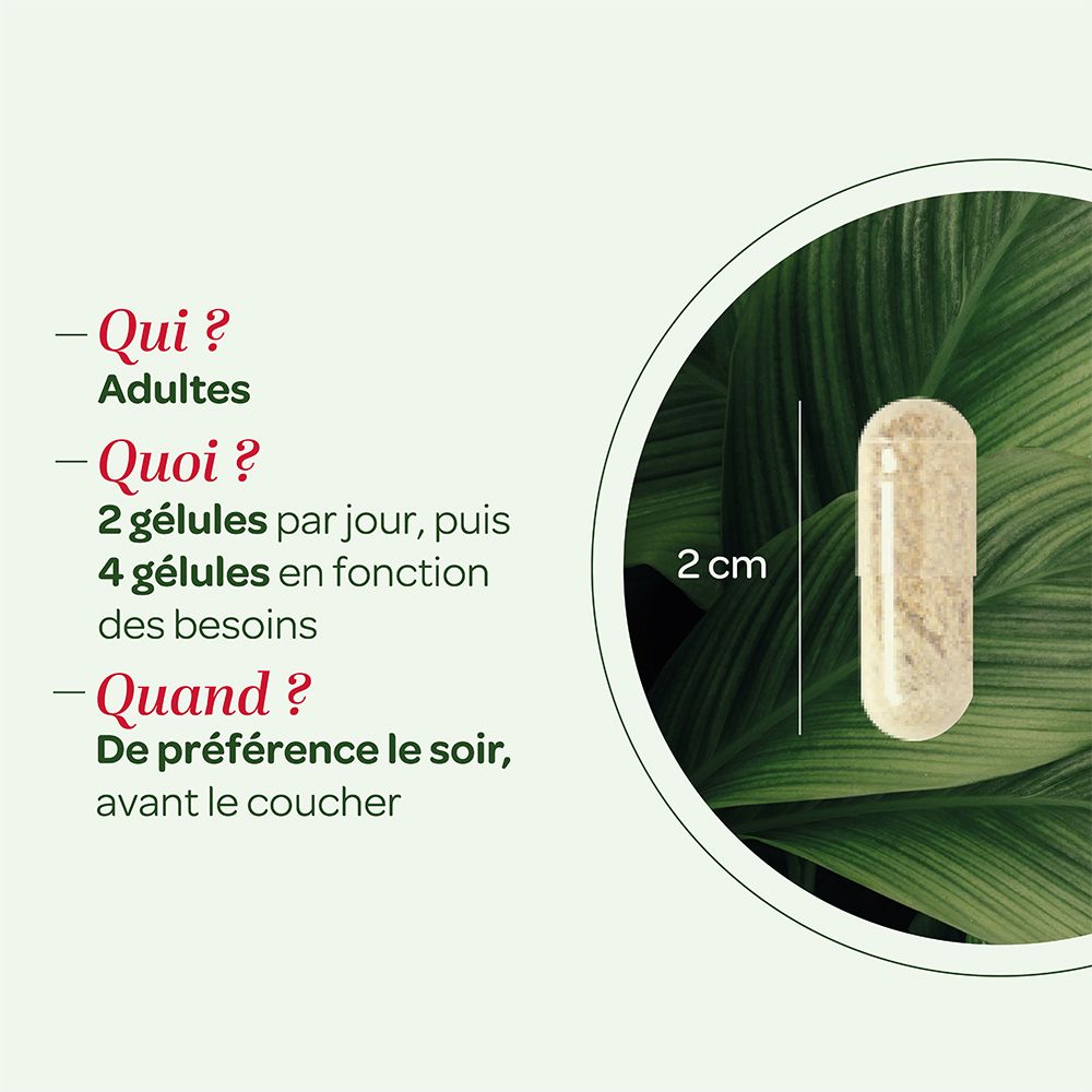 Gélule à côté du texte. Texte: 2 cm, Qui? Adultes, Quoi? 2 gélules par jour, Quand? De préférence le soir.