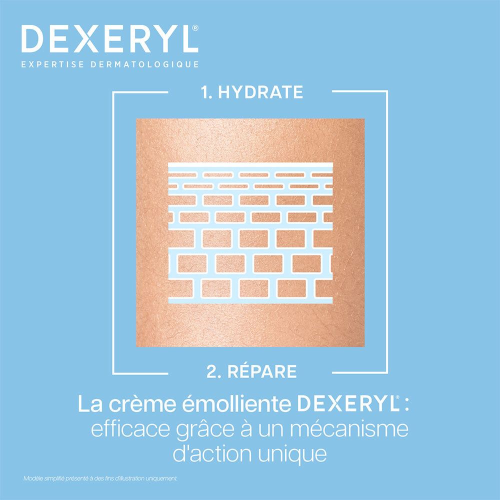 Illustration de la barrière cutanée hydratée et réparée par la crème DEXERYL.