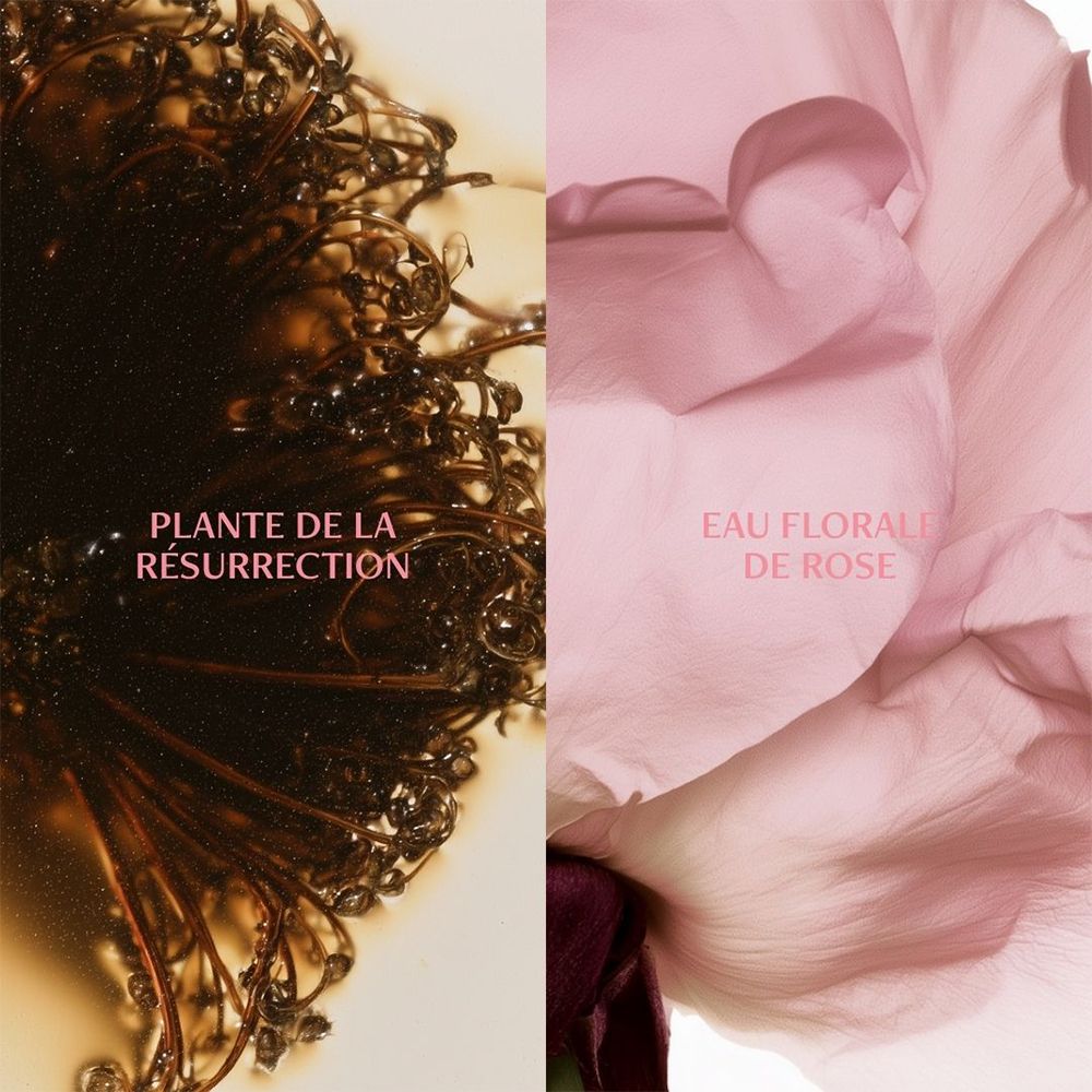 Un collage d'une plante et d'une structure de pétale rose.