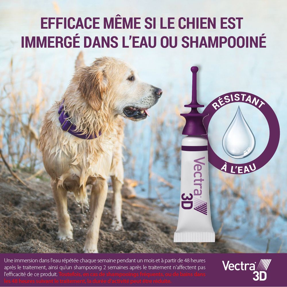 Chien dans l'eau. Pipette à côté. Résistant à l'eau. Vectra® 3D. Efficace même après bain ou shampooing.