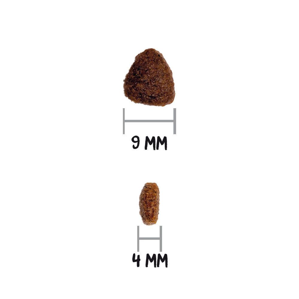 Deux croquettes pour chat. Une mesure 9 mm, l'autre 4 mm. Gros plan.