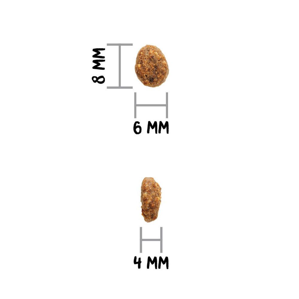 Deux croquettes avec mesures. Une croquette de 8 mm x 6 mm, l'autre de 4 mm.
