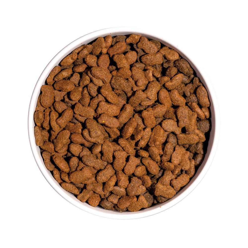 Gros plan sur des croquettes pour chats sans céréales, brunes, dans un bol blanc. Vue de dessus.