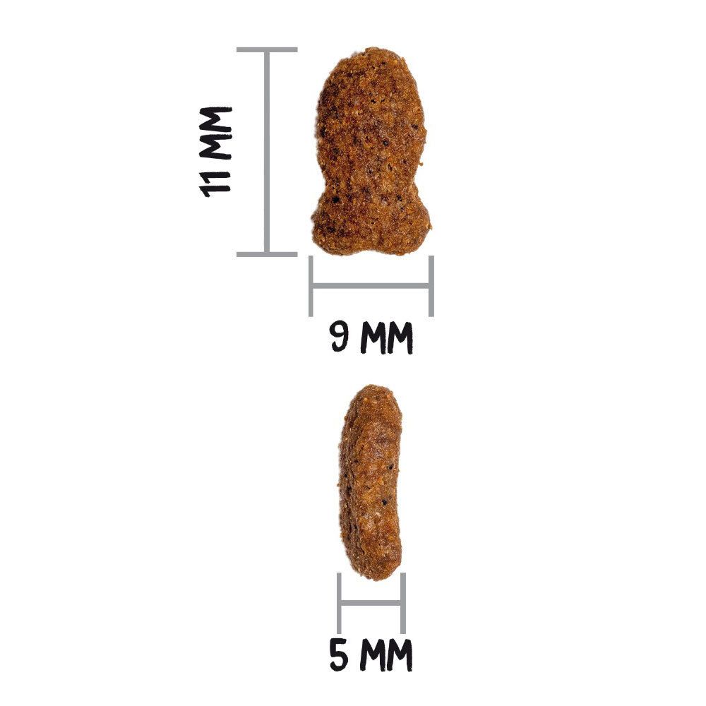 Deux croquettes pour chats avec indications de taille. L'une mesure 11x9 mm, l'autre 5 mm.
