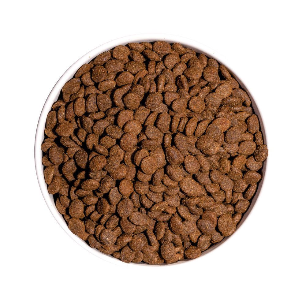Ownat cat  prime sterilise