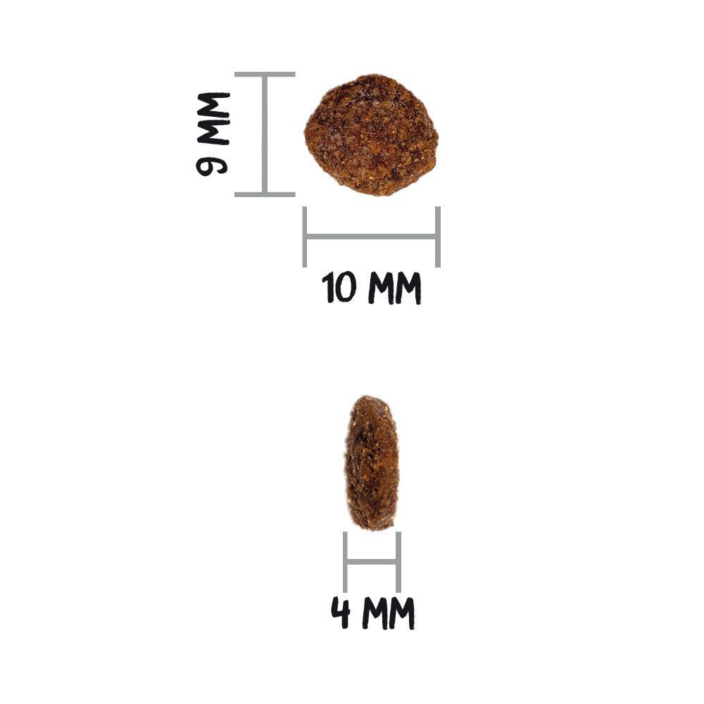 Ownat cat  prime sterilise