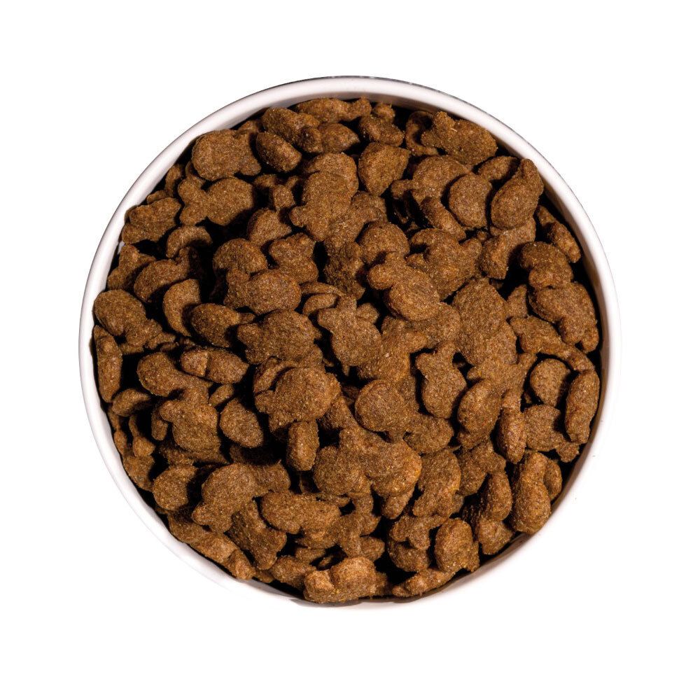 Vue de dessus de croquettes pour chiens brunes en forme de poisson dans un bol blanc. Sans arrière-plan.