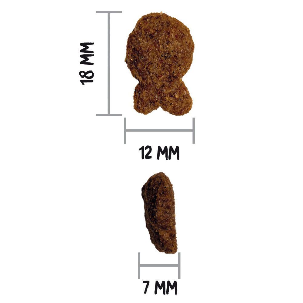 Gros plan sur deux croquettes pour chiens. Dimensions : 18 mm x 12 mm et 7 mm. Sans arrière-plan.