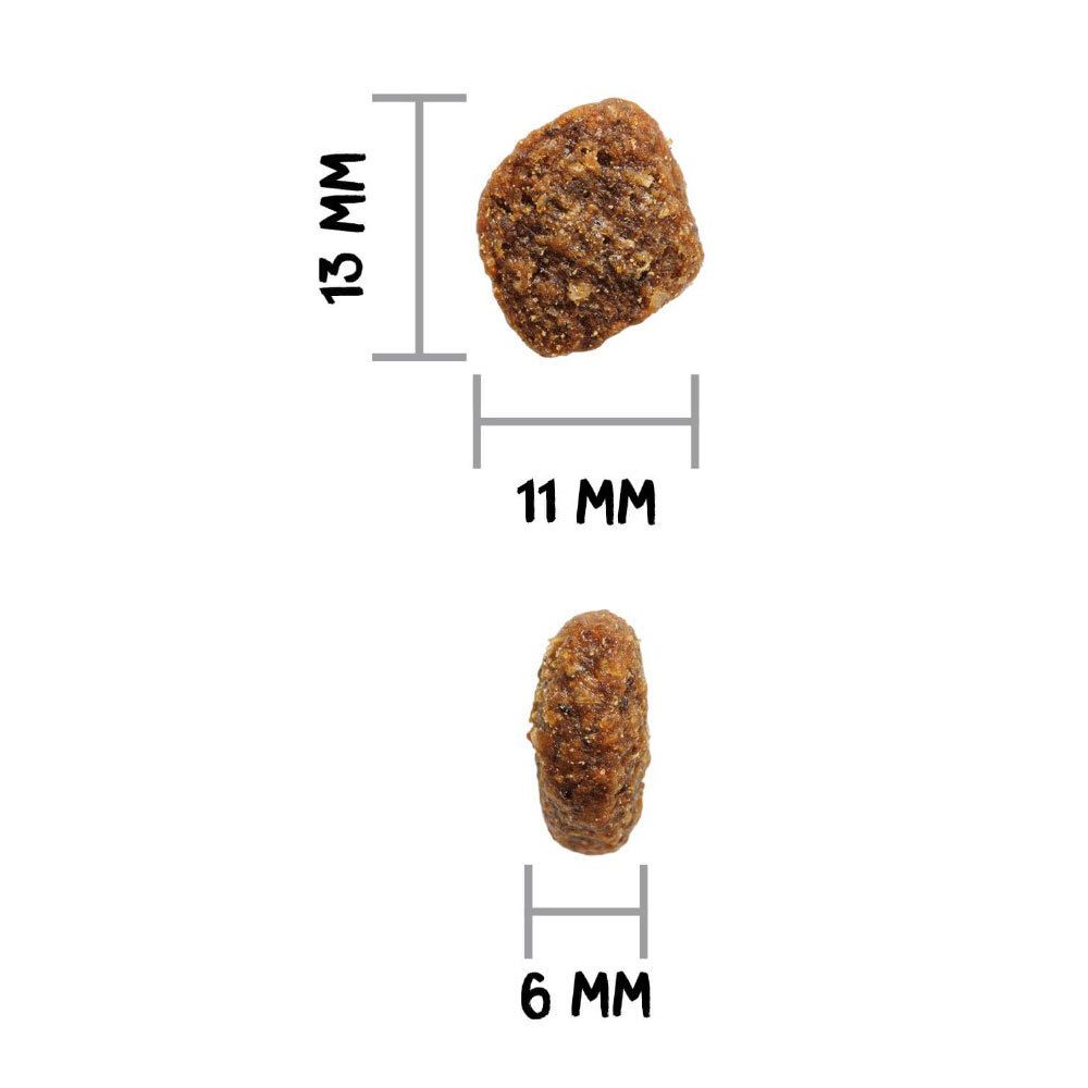 Gros plan sur deux croquettes pour chiens. Dimensions : 13x11mm et 6mm. Sur fond blanc.