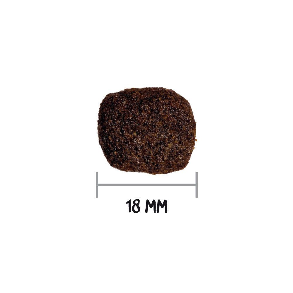 Ownat GF Hypoallergenic Lamb (Dog)