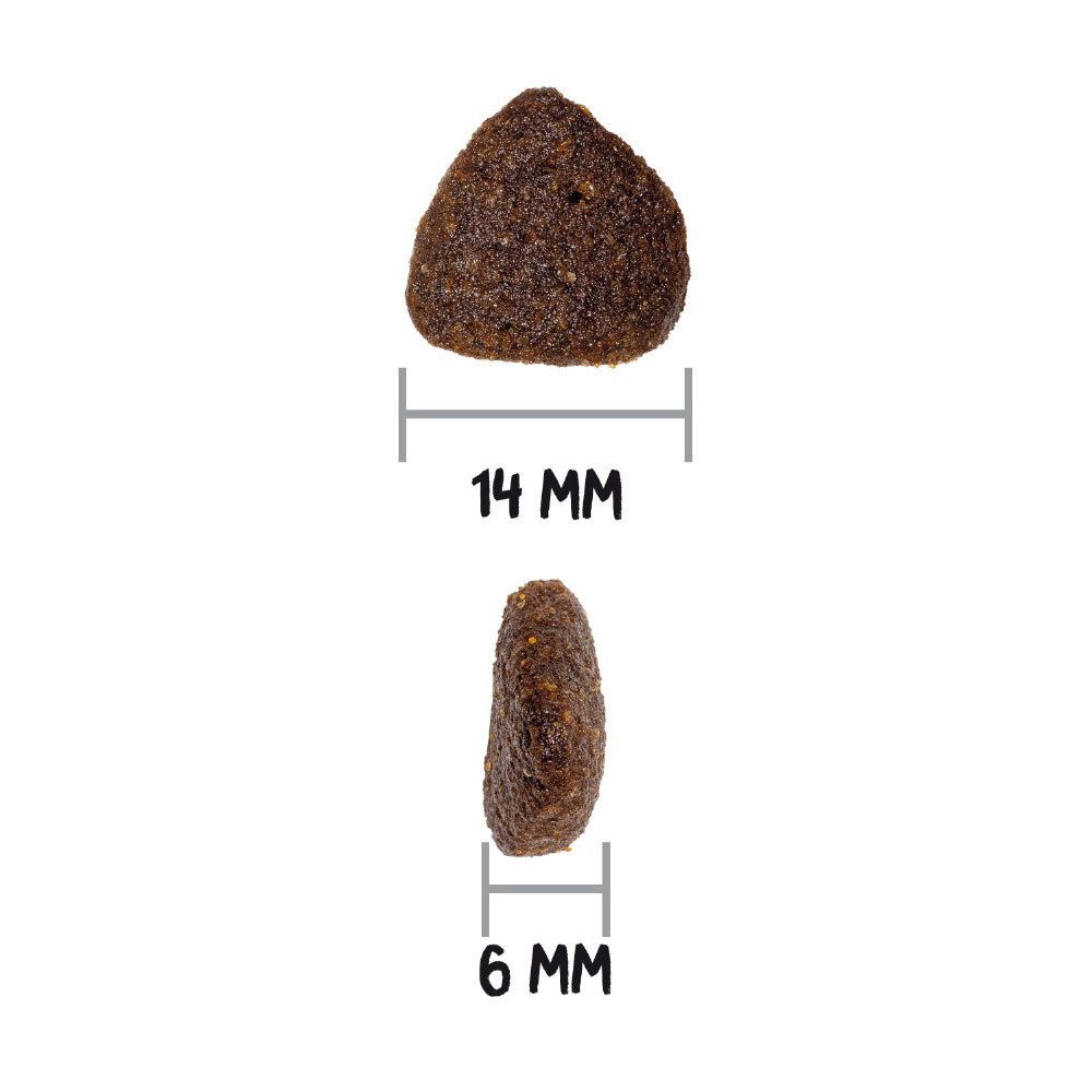 Deux croquettes pour chiens, une vue de dessus, une vue de côté. Dimensions : 14 mm de diamètre, 6 mm d'épaisseur.