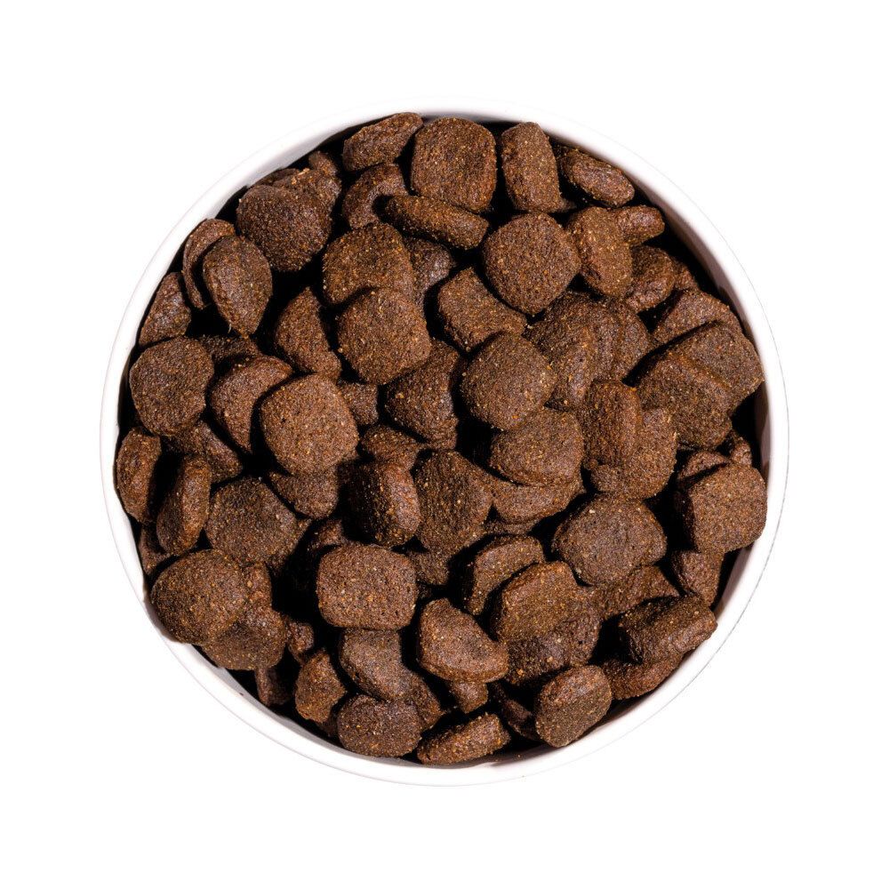 Nourriture pour chiens dans un bol blanc. Croquettes rondes et brunes. Vue de dessus.