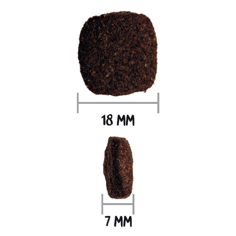 Gros plan sur une croquette pour chien. Dimensions : 18 mm x 7 mm. Couleur marron.