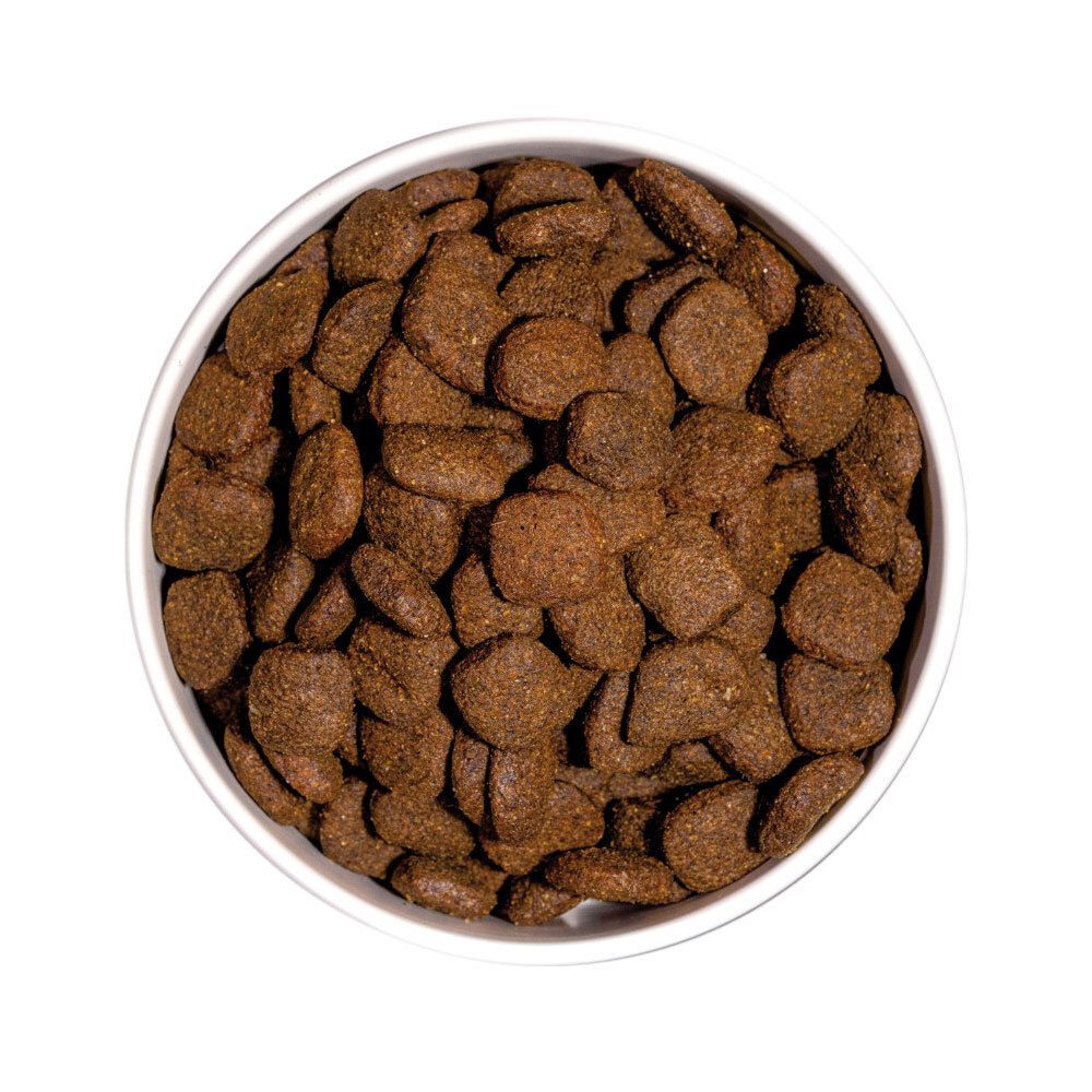 Nourriture pour chiens dans un bol blanc. Croquettes brunes et rondes. Vue de dessus.