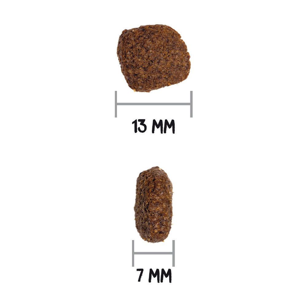 Deux croquettes avec mesures. Une croquette de 13 mm, l'autre de 7 mm.
