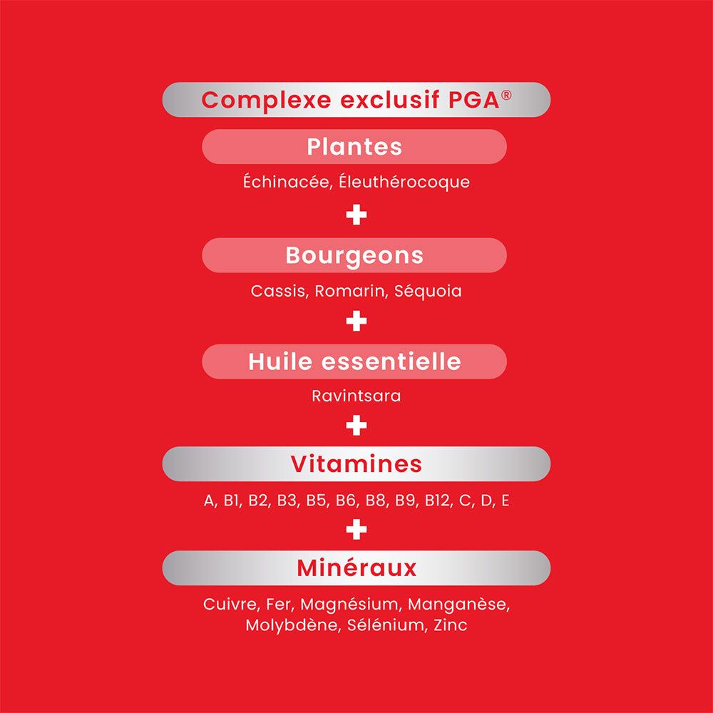Graphique avec ingrédients. Plantes, bourgeons, huiles essentielles, vitamines, minéraux. Complexe PGA® exclusif.