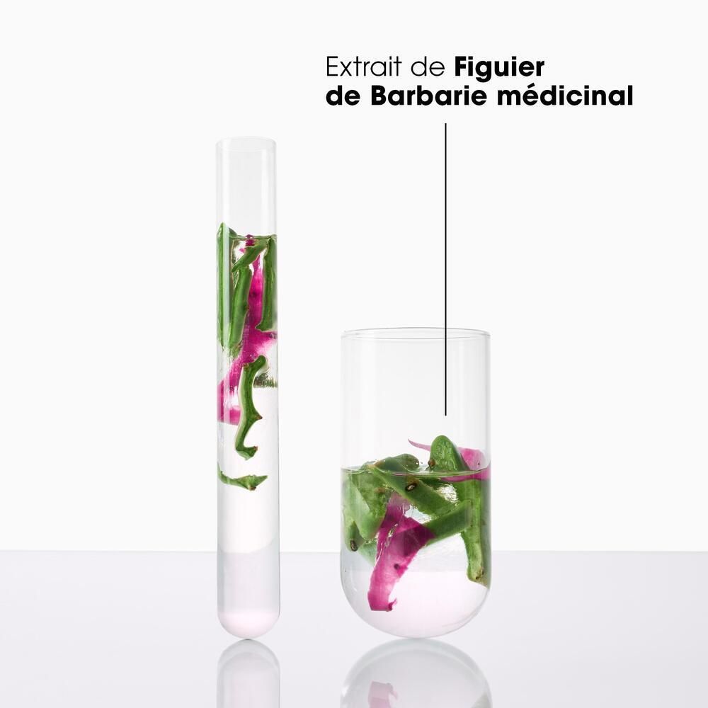 Deux récipients en verre avec liquide et matière végétale. Libellé : Extrait de figue de Barbarie médicinale.