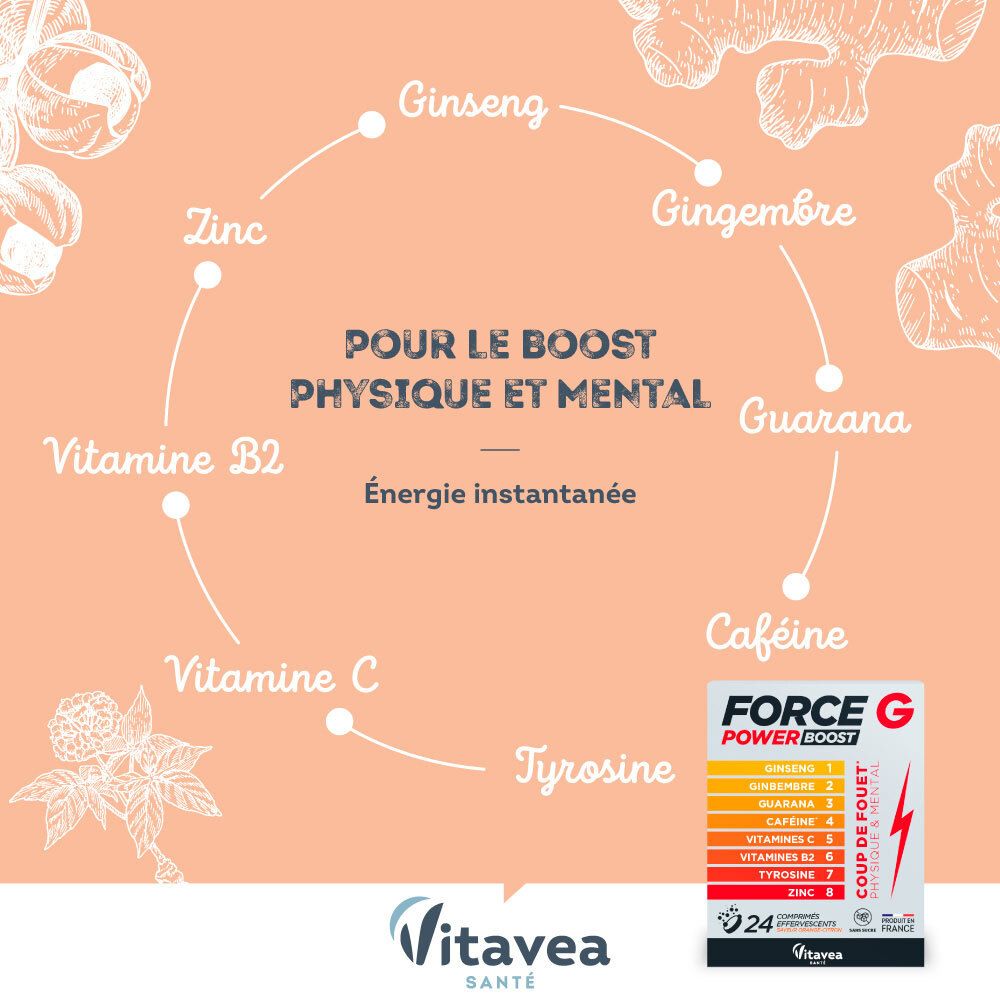 Infographie des ingrédients FORCE G POWER BOOST. Contient Ginseng, Gingembre, Guarana, Caféine, Vitamines. Marque : Vitae.