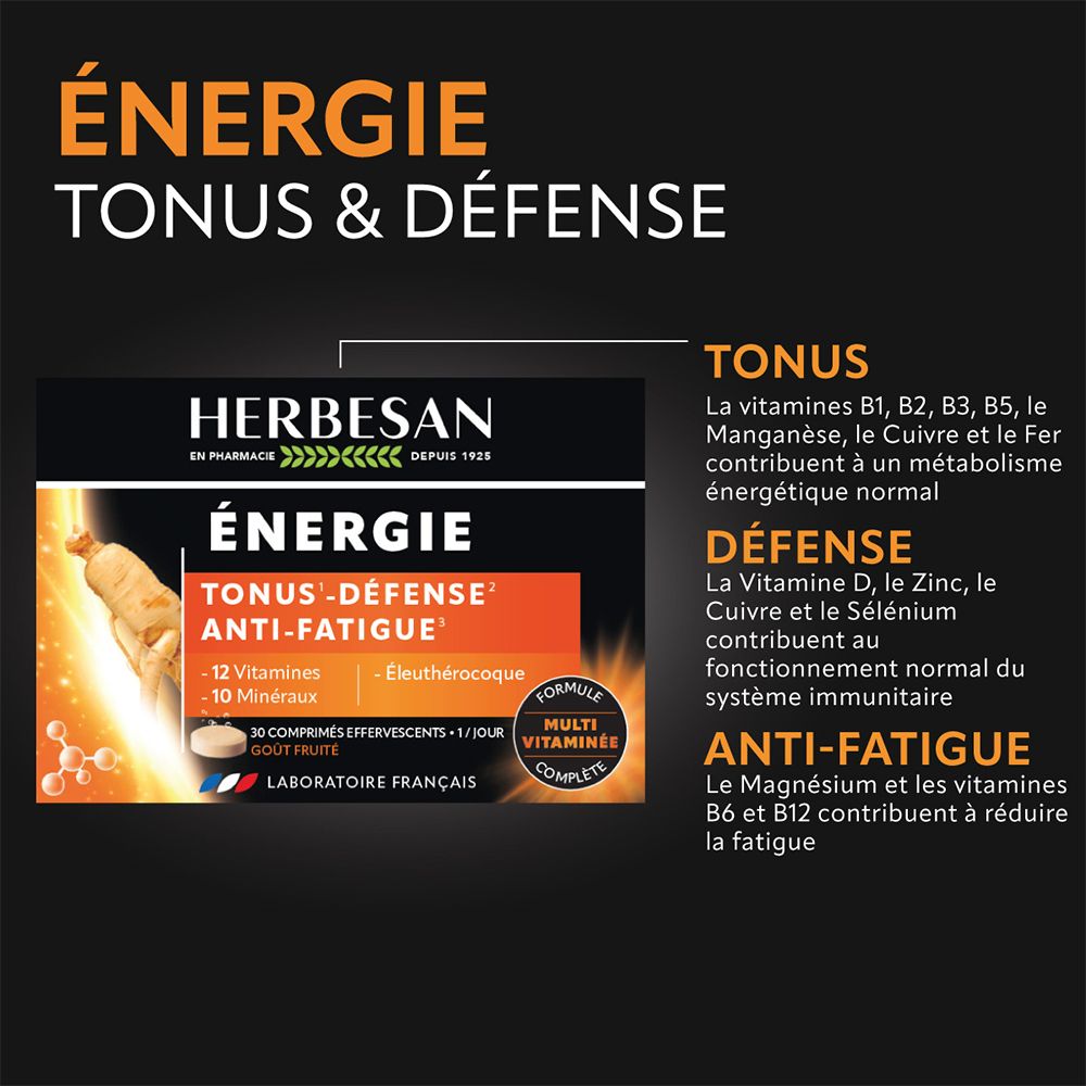 Tableau d'informations Herbesan Énergie. Décrit tonus, défense et anti-fatigue. Contient les ingrédients et leurs effets.