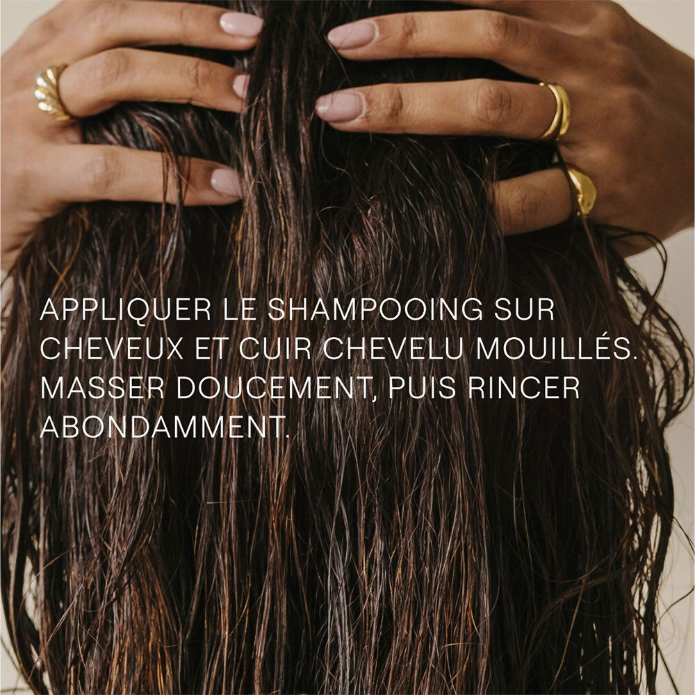 Mains massant les cheveux mouillés. Texte: Appliquer le shampooing, masser doucement, puis rincer abondamment.