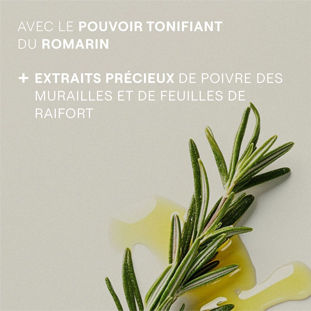 Branche de romarin avec gouttes. Texte: Avec le pouvoir tonifiant du romarin. + Extraits.