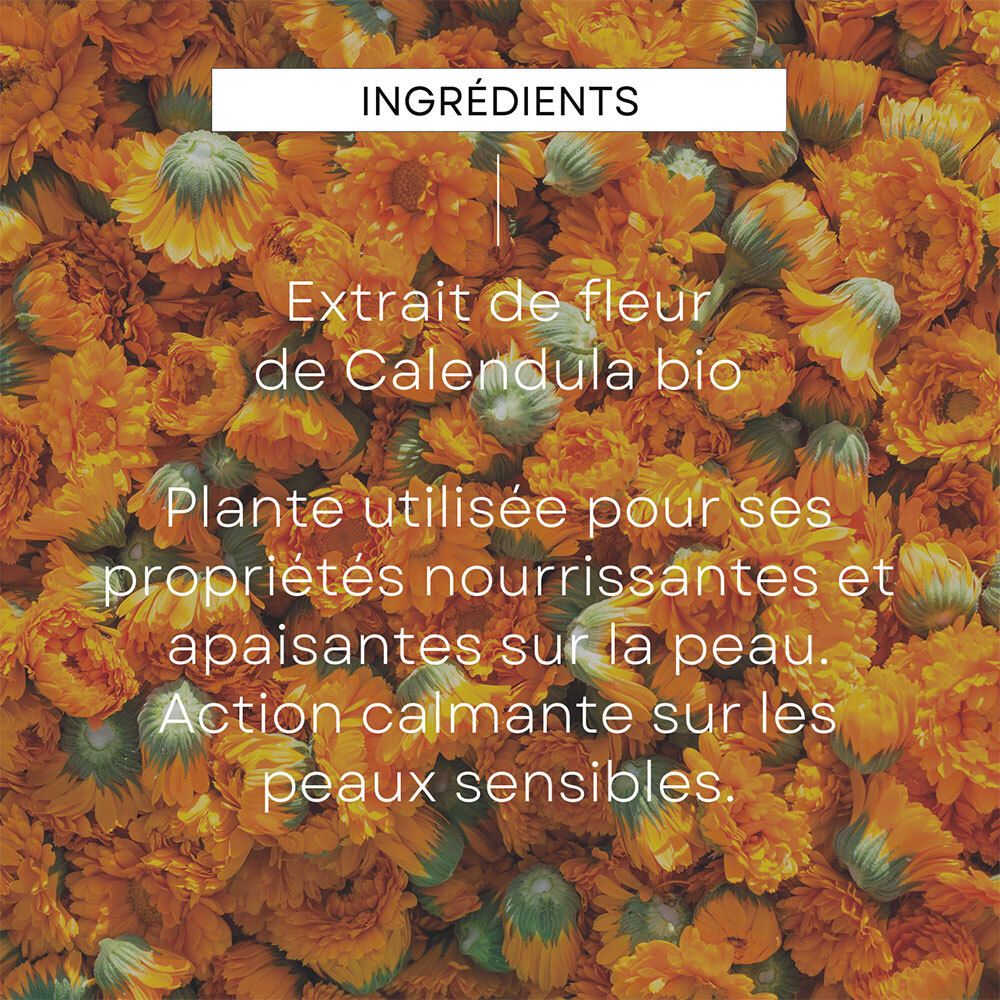 Gros plan sur les fleurs de calendula. Texte: Ingrédients. Extrait de fleur de calendula bio. Action apaisante sur les peaux sensibles.