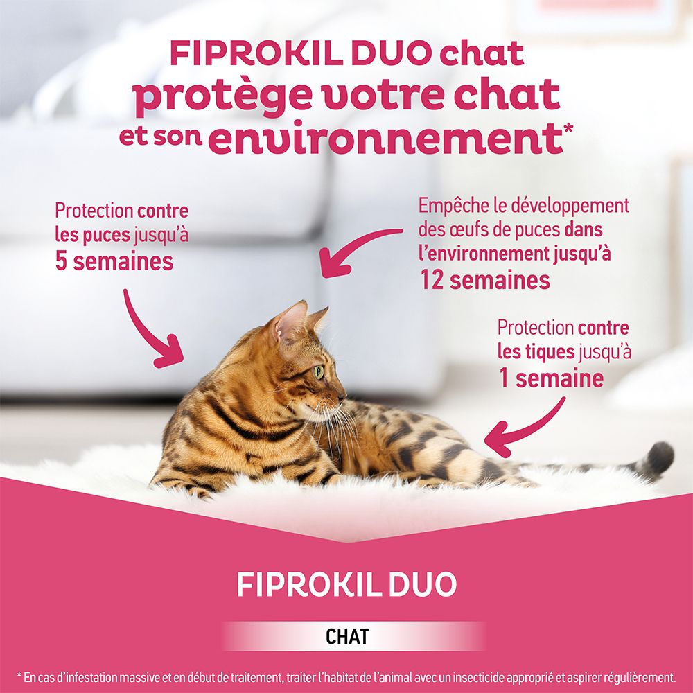 Chat sur tapis. Texte: Fiprokil Duo Chat. Protège contre les puces jusqu'à 5 semaines et les tiques jusqu'à 1 semaine.